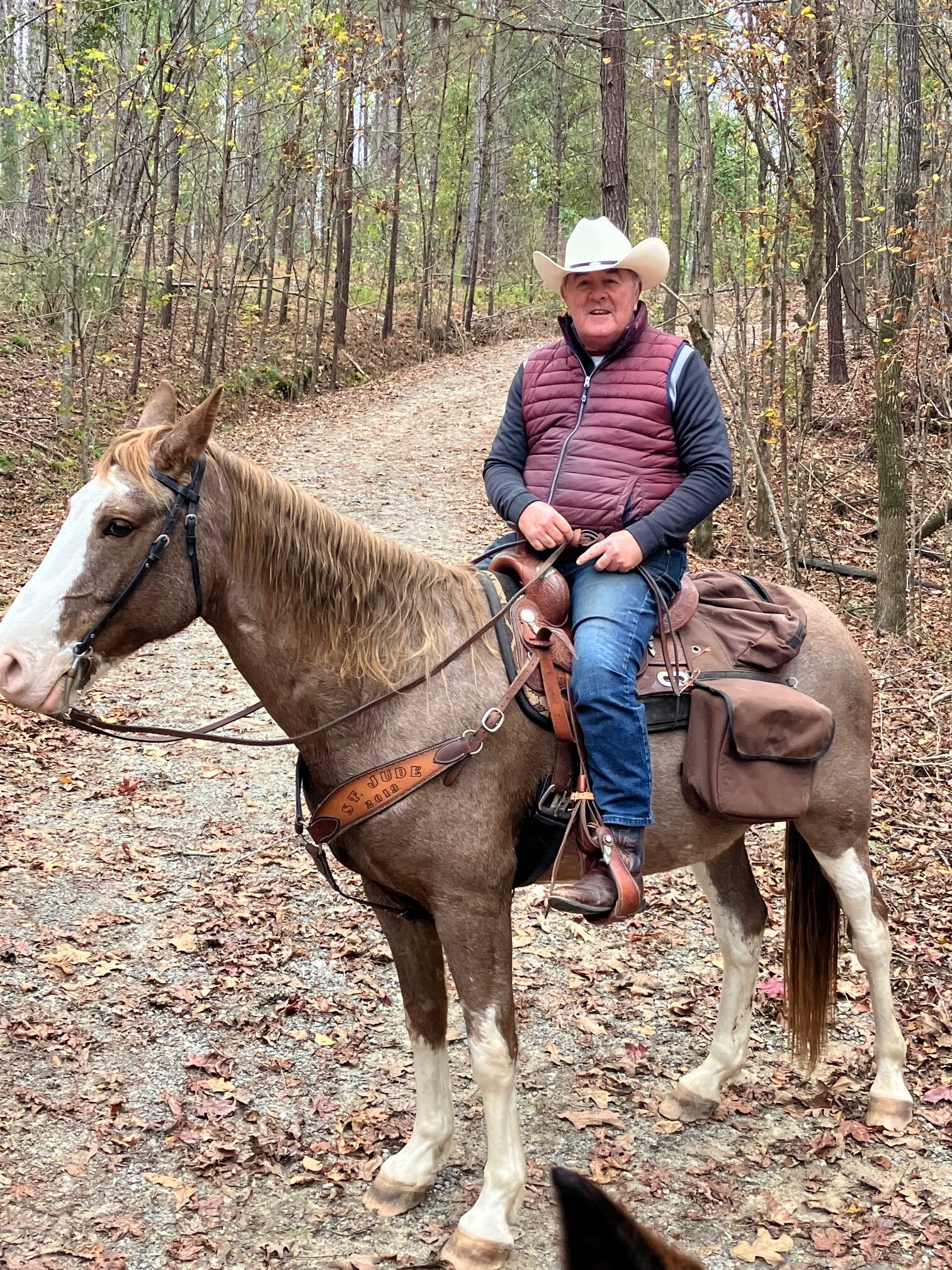 Person in a cowboy hat riding a brown and white horse on a forest trail.