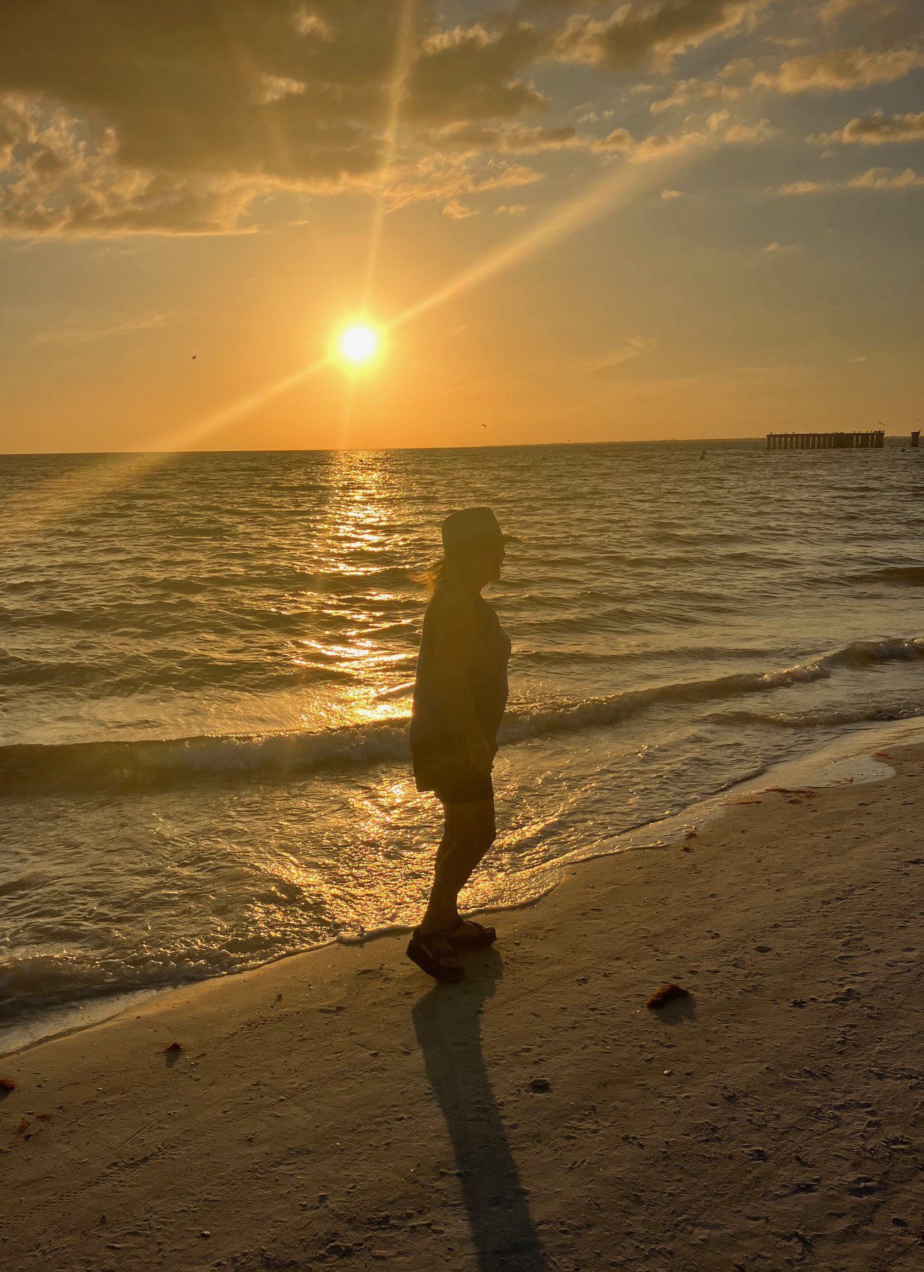 Silhouette of a person standing on a beach at sunset.